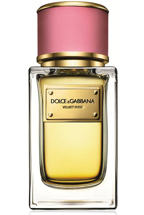 nuevo perfume dolce gabbana 2014|dolce and gabbana unisex fragrance.